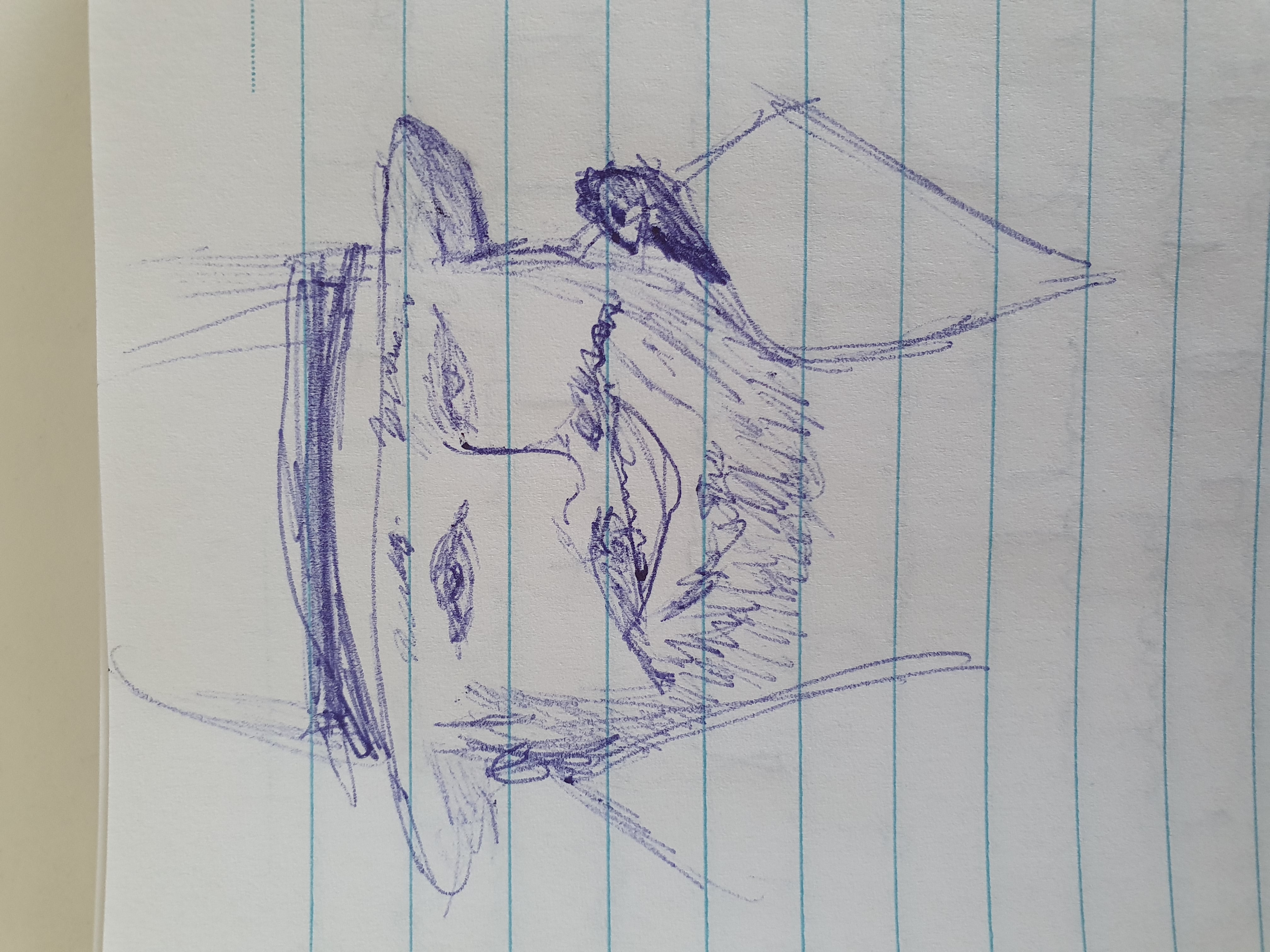 a sketch made in pen of Pavarotti with a rat on his shoulder