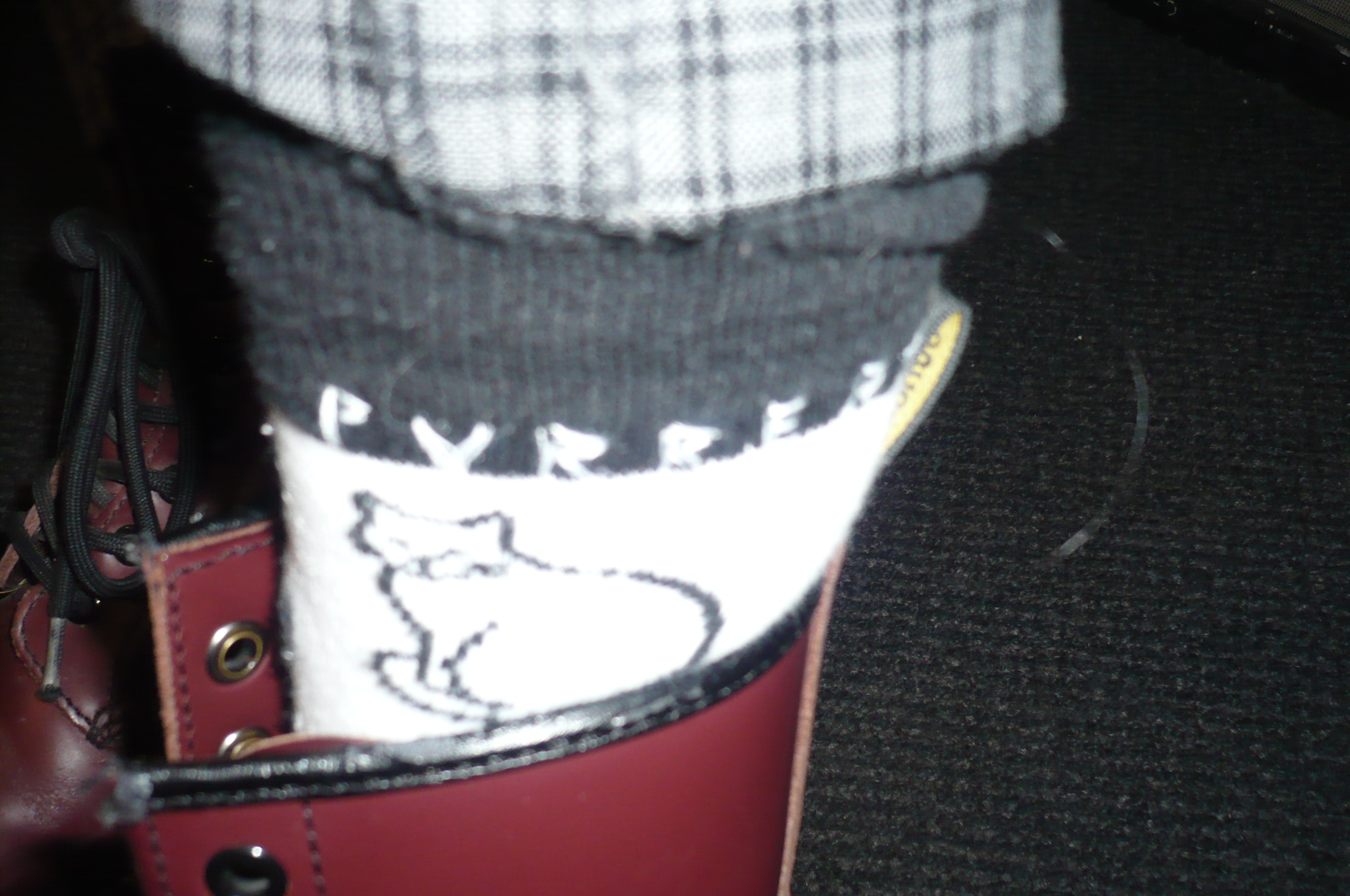 sox2